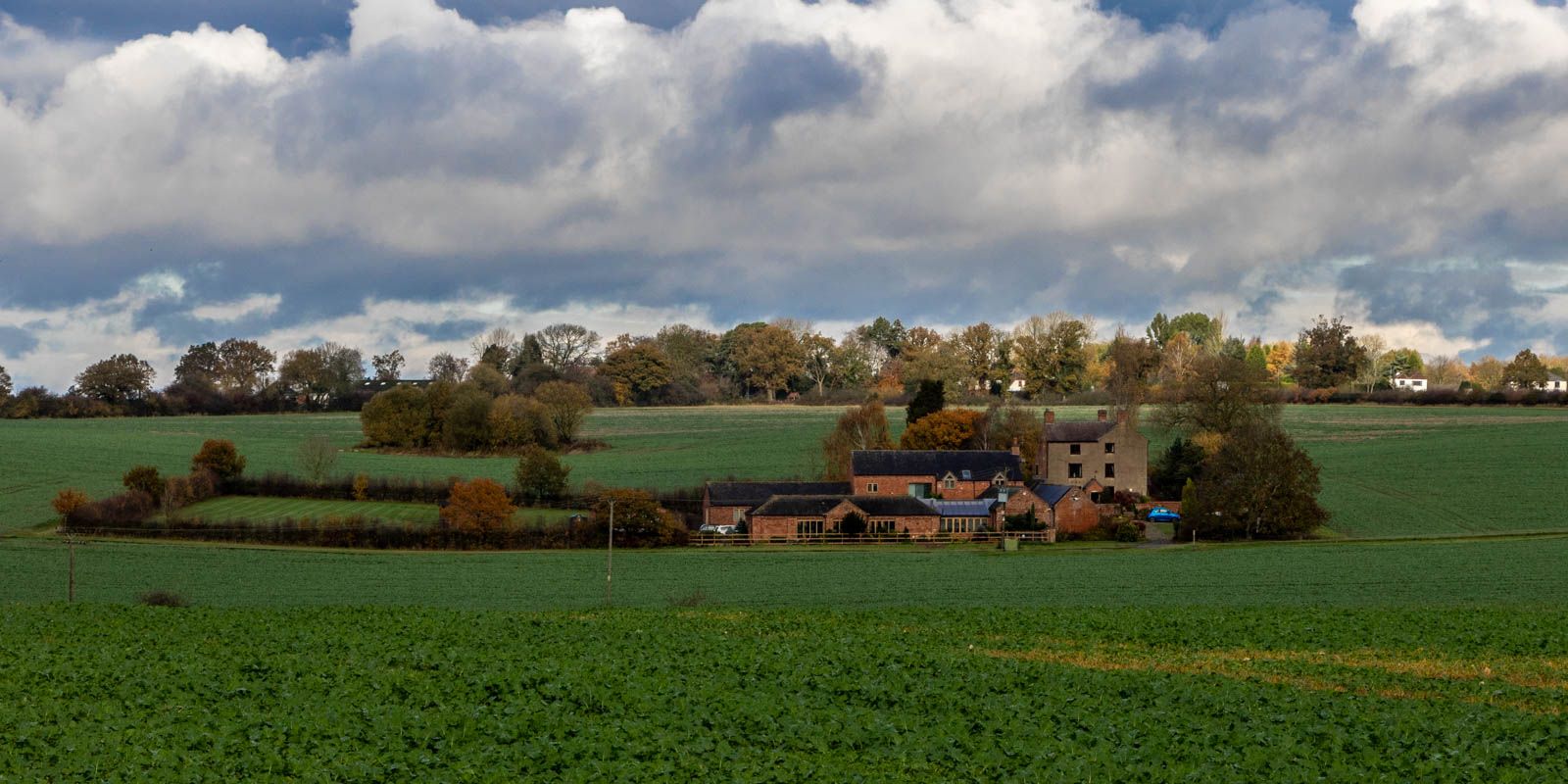 Near Nailstone Gorse.
